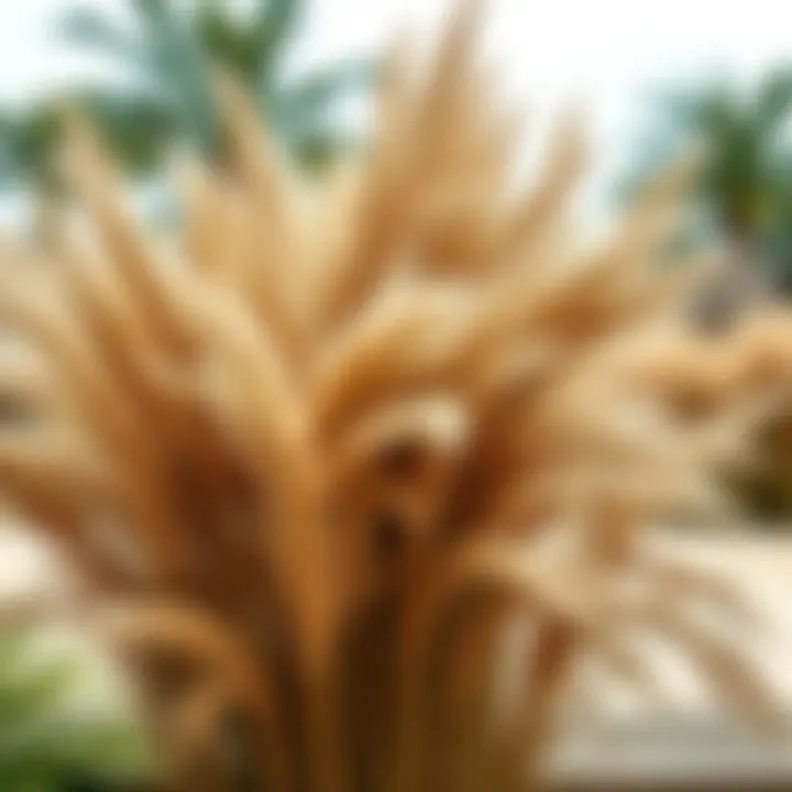 Magnificent Exploring Artificial Pampas Grass: A Comprehensive Guide