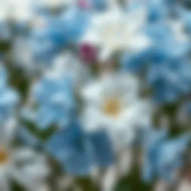 Magnificent Navigating the Aesthetic and Practical Aspects of Fake Blue and White Flowers