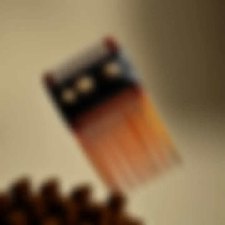 Magnificent The Multifaceted Utility of the Wide Tooth Rat Tail Comb