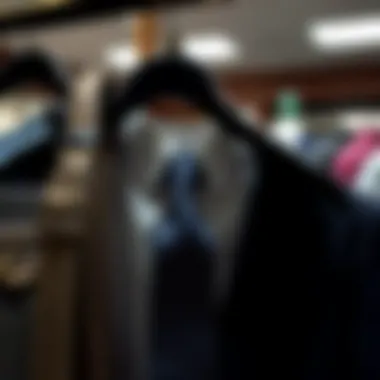 An In-Depth Look at Hangers for Belts and Ties: Organization and Aesthetics Introduction