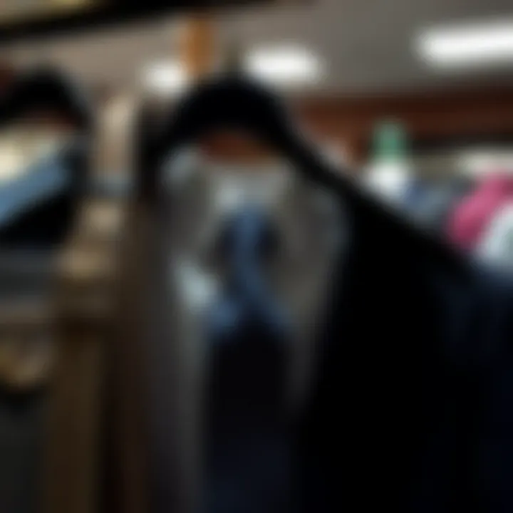 An In-Depth Look at Hangers for Belts and Ties: Organization and Aesthetics Introduction