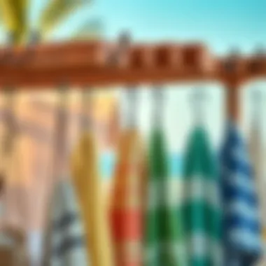 Variety of beach hooks displayed with towels in a serene setting