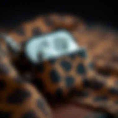 Close-up of premium materials used in a cheetah AirPods case.