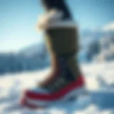 Stylish Snow Overshoes in Nature Stylish snow overshoes in a snowy landscape