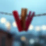 Creative Uses of Clothespins for Picture Hanging Introduction
