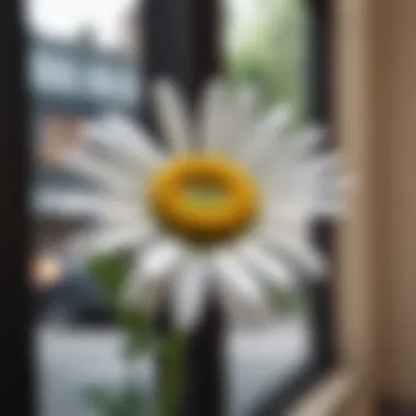 A close-up of daisy window cling maintenance techniques.