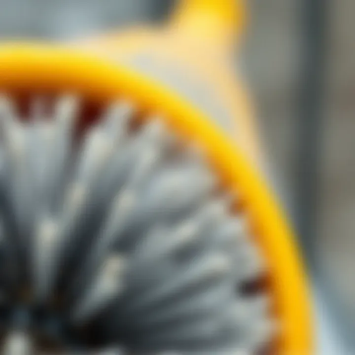 Detailed View of Brush Bristles for Window Cleaning Close-up showing bristles of a specialized window track cleaning brush.