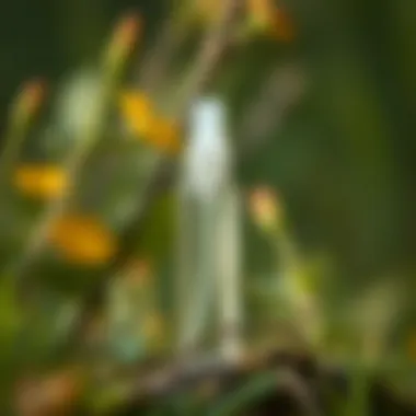 Eco-conscious lifestyle represented by a refillable spray bottle in nature