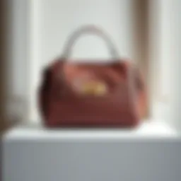 Chic purse displayed elegantly against a minimalist backdrop