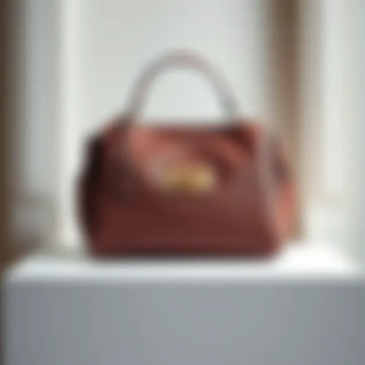 Chic purse displayed elegantly against a minimalist backdrop