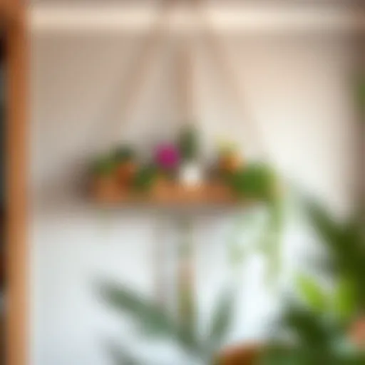 Elegance in Boho Design An elegant bohemian hanging shelf adorned with plants