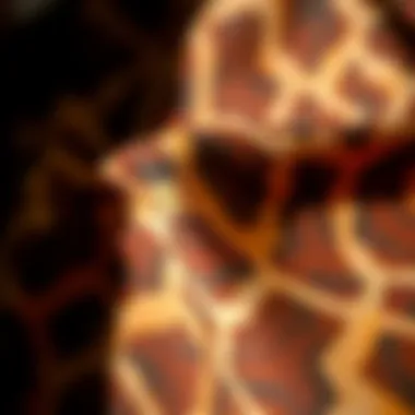 Close-up of giraffe print fabric showcasing intricate patterns