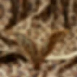 Elegant Leopard G String Presentation Elegant leopard g string showcased on a luxurious background