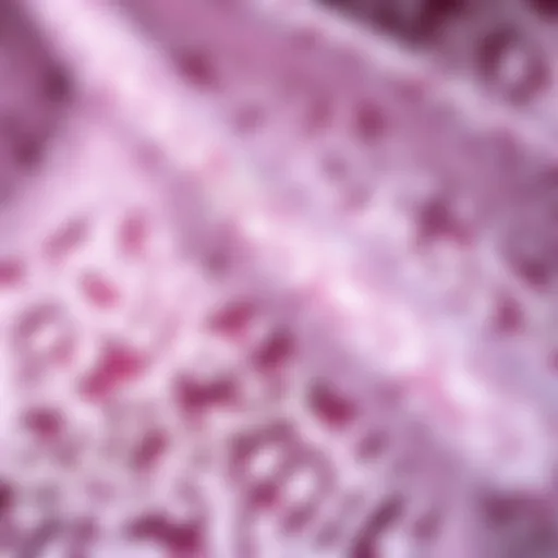 Intricate Patterns of Nigerian Lace Fabric Elegant Nigerian lace fabric showcasing intricate patterns