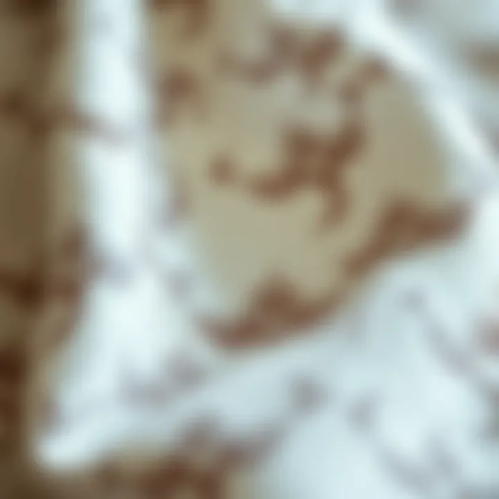 Detailed close-up of lace fabric texture