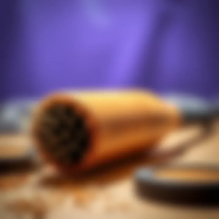 Close-up of a luxurious hairbrush made from eco-friendly materials highlighting its texture.