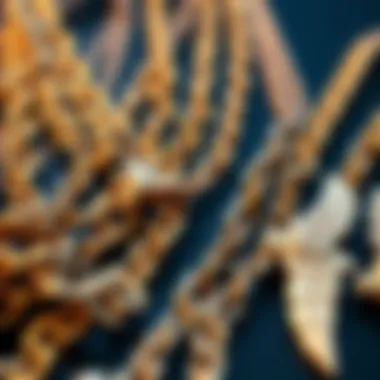 Showcase of Custom Chain Materials Showcase of various materials used in custom chains