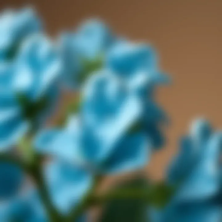 Close-up view of forget me not faux flowers showcasing their texture and color