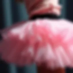 Delicate layers of a fluffy tutu skirt