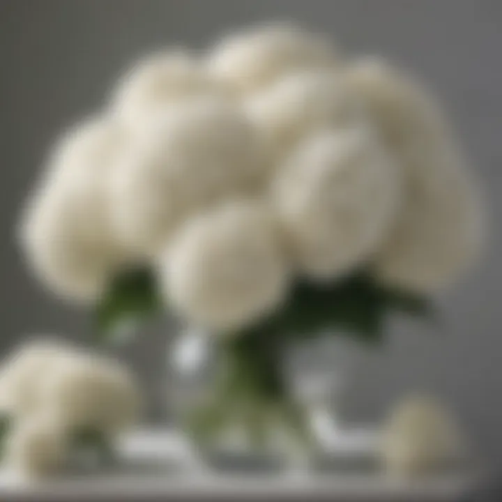 Stunning arrangement of white faux hydrangeas in a modern vase