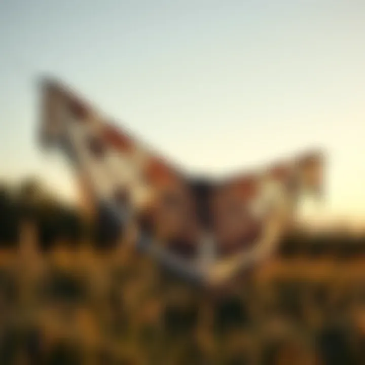 Moth shawl displayed in a natural outdoor setting