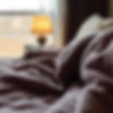 Exploring the multifaceted nature of thick velour blankets Introduction