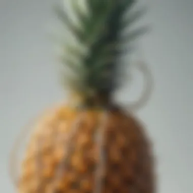 Close-up of the Drawstring Technique Close-up of the pineapple drawstring technique
