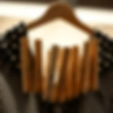 Fashionable arrangement of extra large clothespins as decorative accessories