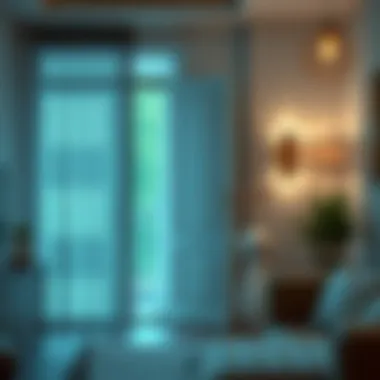 Stylish mesh net door curtains in a contemporary space illustrating aesthetic potential