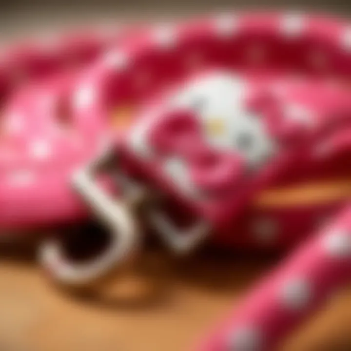 Close-up of the materials used in a Hello Kitty dog leash
