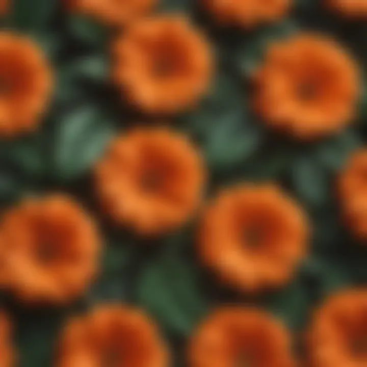 Close-up of textured orange faux flowers showcasing intricate details