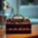 Elegant jewellery organizer bag showcasing compartments