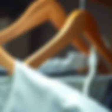 Sustainable Solutions for Wardrobe Management A close-up of eco-friendly clothes hanger organizers made from sustainable materials.