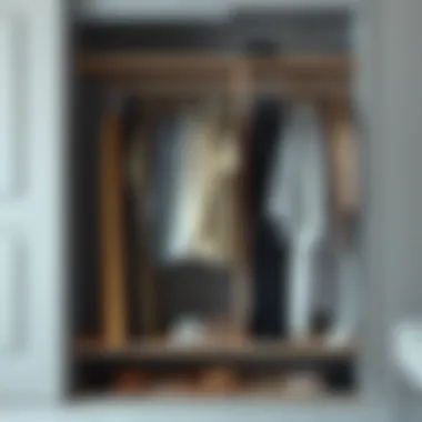 A minimalist wardrobe showcasing a curated clothing selection