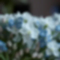 Navigating the Aesthetic and Practical Aspects of Fake Blue and White Flowers Introduction