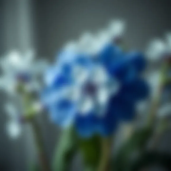 Notable Navigating the Aesthetic and Practical Aspects of Fake Blue and White Flowers
