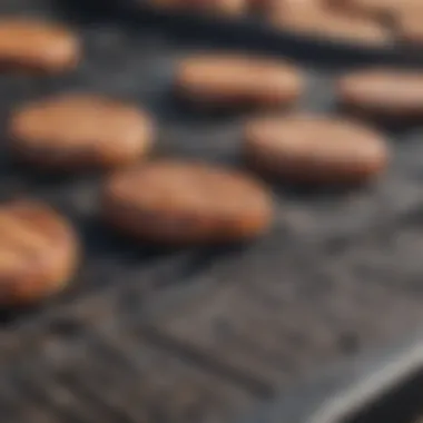 Smooth Surface of Non-Stick Grill Mat High-quality non-stick barbeque grill mat showcasing its smooth surface
