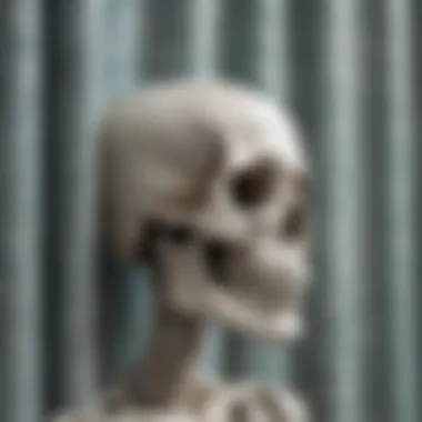 Close-up of the unique patterns and textures on a skeleton shower curtain