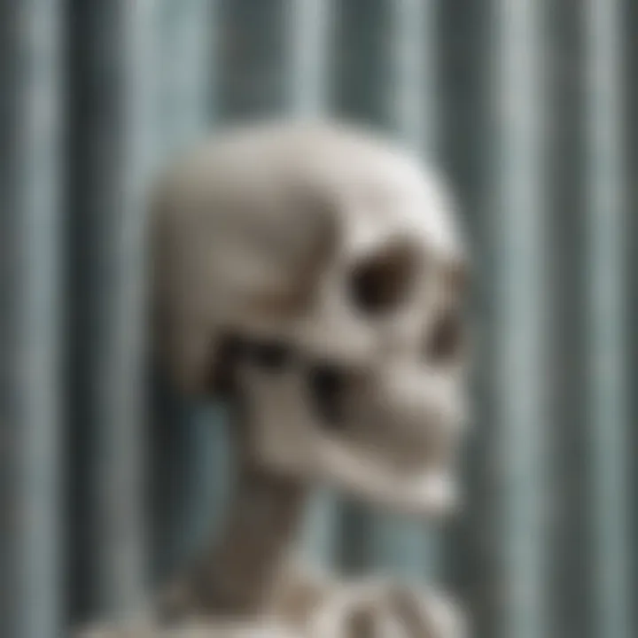 Close-up of the unique patterns and textures on a skeleton shower curtain