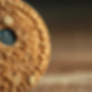 Close-up of textured cork material showcasing its natural appeal