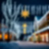 The Aesthetics and Practicality of Cascade Icicle Christmas Lights Introduction