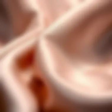 Close-up of silk fabric highlighting its luxurious texture and sheen