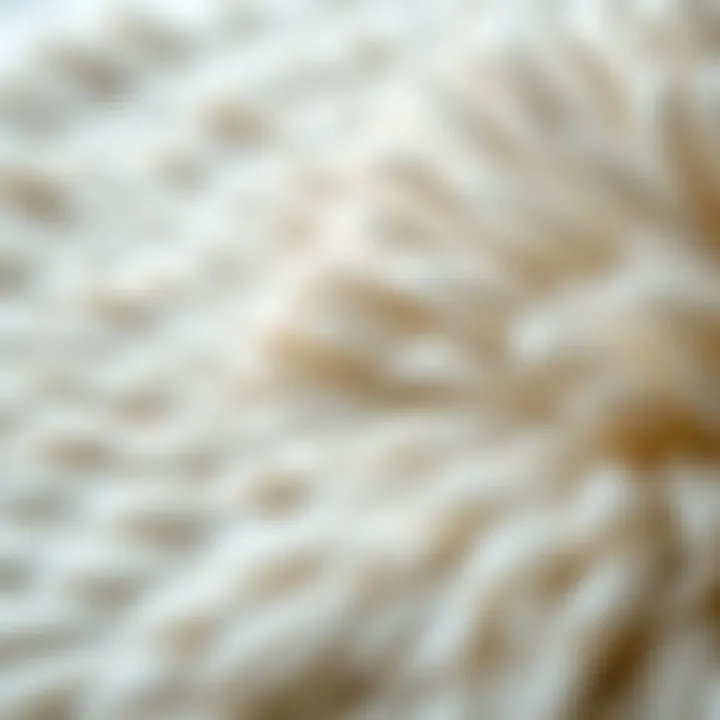 Close-up of a rabbit fur area rug showcasing its texture