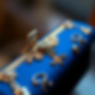 Intricate Detailing of Royal Blue Clutch Close-up of a royal blue clutch with intricate detailing
