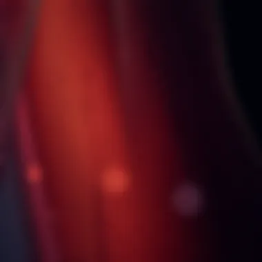 Close-up of intricate fish net fabric texture