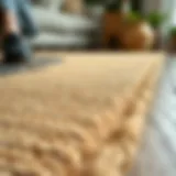 Close-up view of a textured wood grain area rug natural fibers