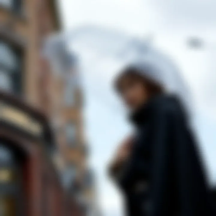 Essential Maintenance Tips for Clear Bubble Umbrellas Maintenance tips for preserving clear bubble umbrellas