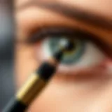 Precision of Fine Tip Eyeliner Brush Elegant fine tip eyeliner brush showcasing its precision