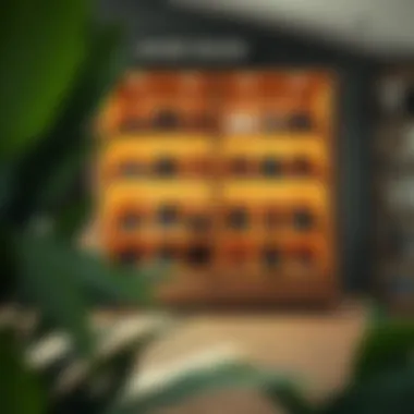 Eco-friendly shoe rack made from sustainable materials