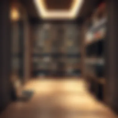 A stylish shoe rack integrated into a modern hallway